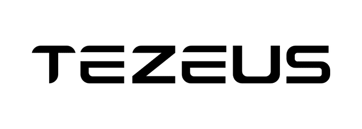 Logo TEZEUS